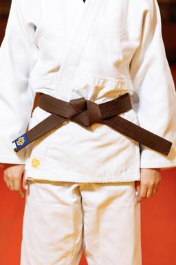 Photo http://static.kintayo.com/images/judo/belts/6_Brown_belt.jpg