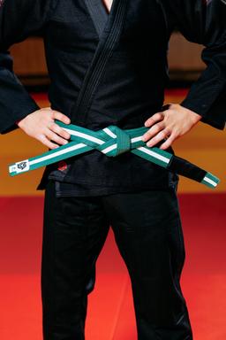Photo https://static.kintayo.com/images/bjj/belts/10_Green-White_bjj_belt.jpg
