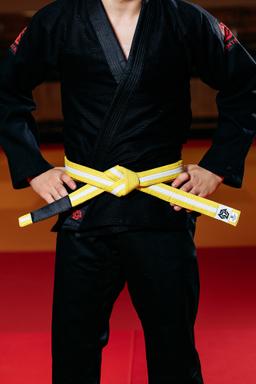 Photo https://static.kintayo.com/images/bjj/belts/4_Yellow-White_bjj_belt.jpg