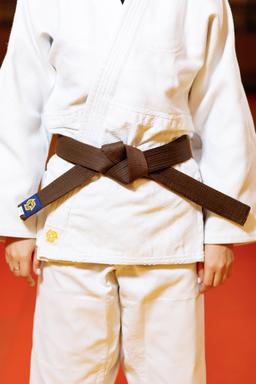Photo https://static.kintayo.com/images/judo/belts/6_Brown_belt.jpg