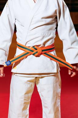 Photo https://static.kintayo.com/images/judo/belts/Orange-green_belt.jpg