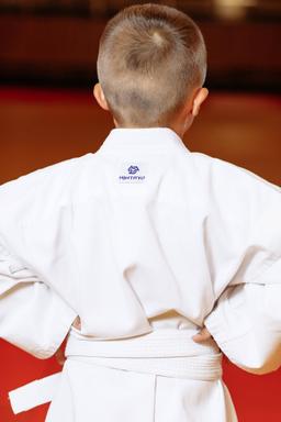 Photo https://static.kintayo.com/images/karate/kids/Karate_boy_240gsm_6.jpg