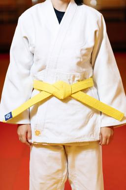 Photo http://static.kintayo.com/images/judo/belts/2_Yellow_belt.jpg