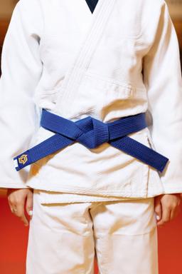 Photo http://static.kintayo.com/images/judo/belts/5_Blue_belt.jpg